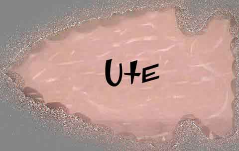 Description: Description: C:\Kickapoo Website\Kickapoo\Ute\button.jpg