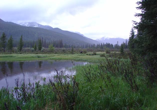 Description: C:\Kickapoo Website\natlpark.jpg